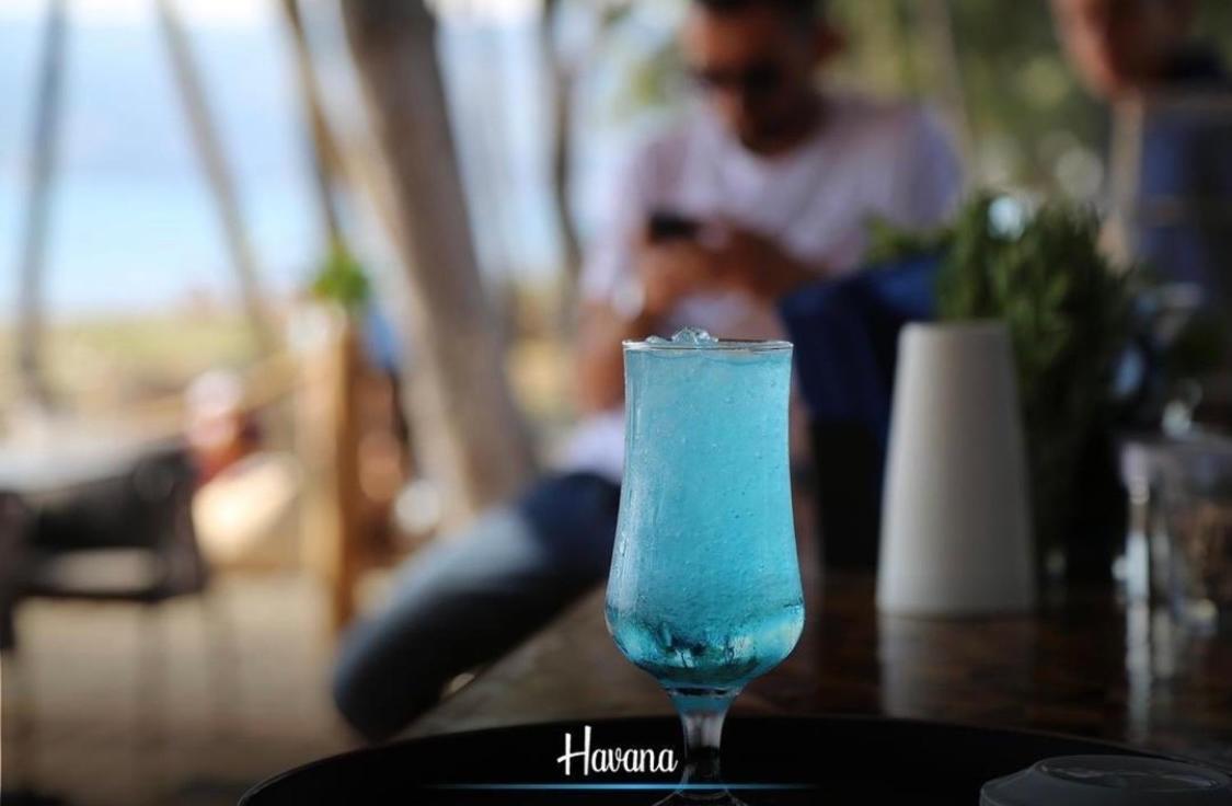 Havana House Sakes Exteriör bild
